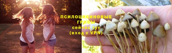 амфетамин Алексеевка