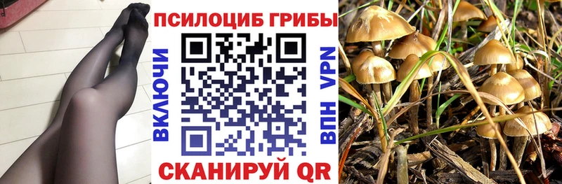 Псилоцибиновые грибы ЛСД сколько стоит нарко площадка состав Приморск