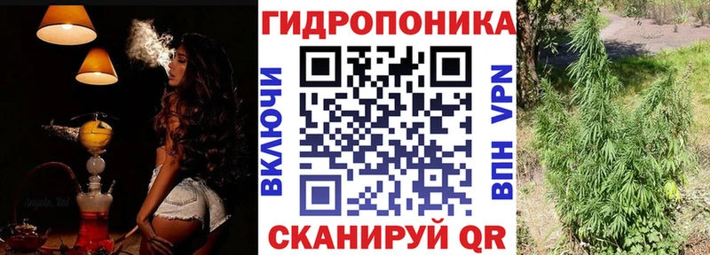нарко площадка наркотические препараты  Приморск  Конопля Bruce Banner  ОМГ ОМГ зеркало 